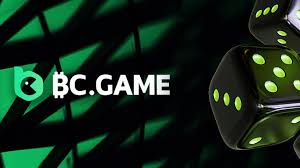 Comprehensive Overview of the BC App Features, Benefits, and User Experience