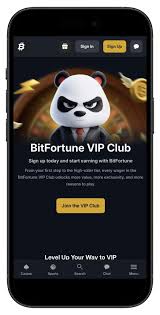 Exploring Bitfortune Coin Payments A Comprehensive Guide to Common Payment Methods