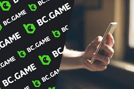 Exploring the World of BC Game Casino