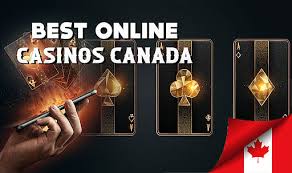 What is the Best Online Experience Discover Top Recommendations -235294480 What is the Best Online Experience Discover Top Recommendations -235294480